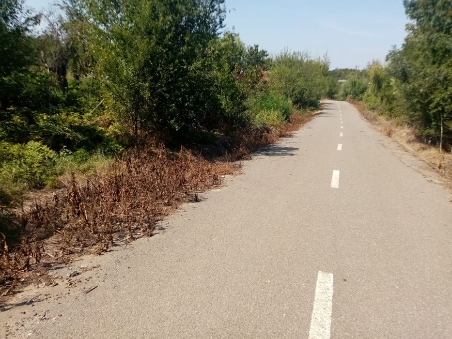 Teren 462mp  Intravilan - Comuna Schitu, Jud Giurgiu