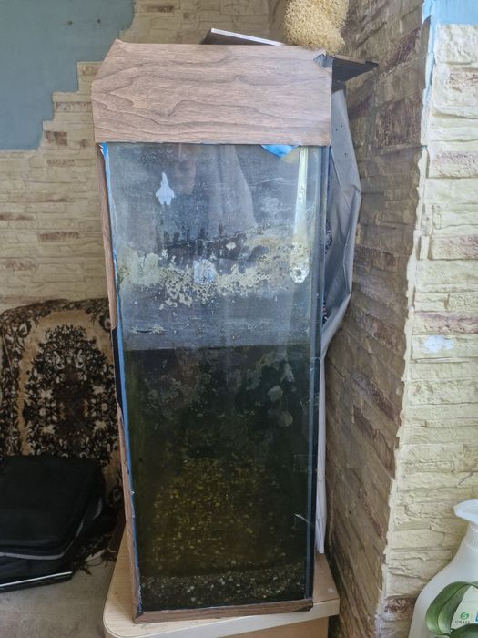 Аквариум на 200л