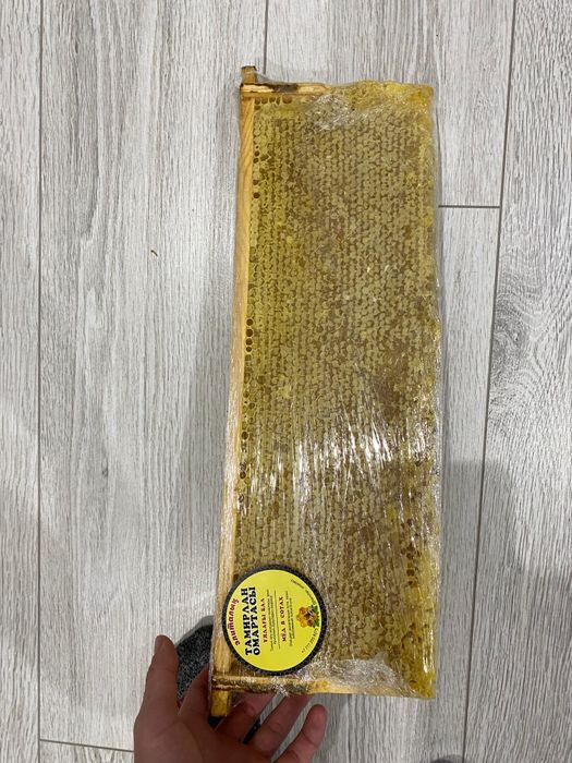 Мёд в сотах Ұядағы бал