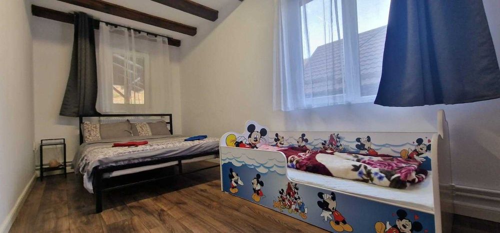 Cabana de inchiriat / Baisoara / Ciubar / Revelion ocupat