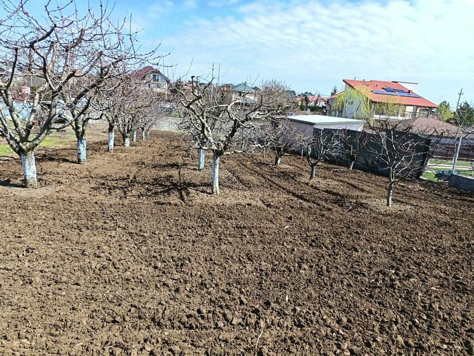 Vils la gri in Buftea, Strada Indepententei,NR 8 ,Calul Balan