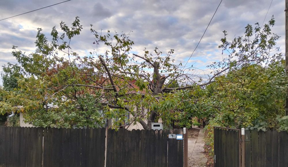 7089mp intravilan la DN1B, cu deschidere 17,54m, Valea Calugareasca