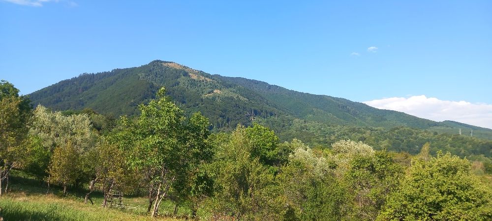 Teren montan de vanzare