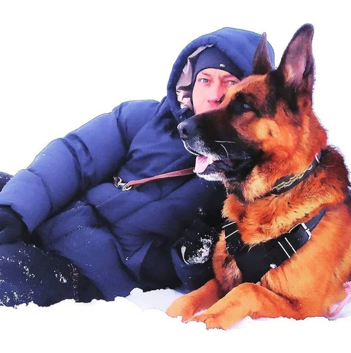 Немецкая овчарка