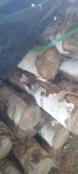 Oq bolorlar sotiladi dastafka xizmatlar   bor