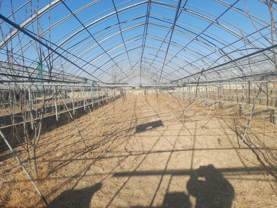 Теплица завадской