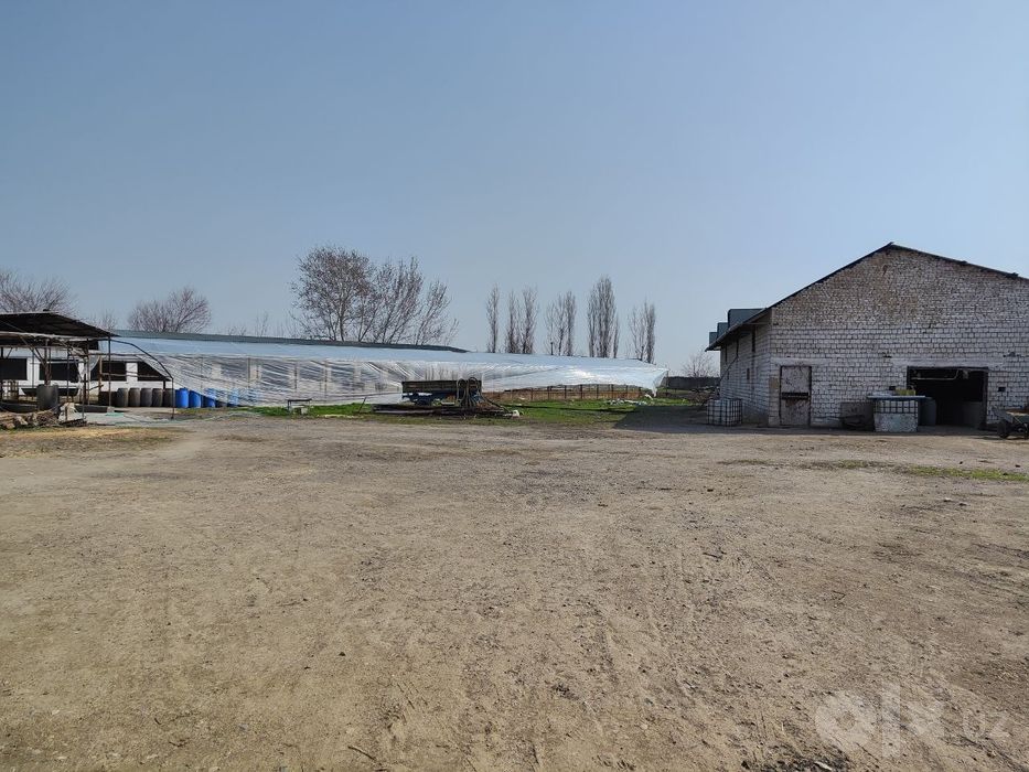Iyik Otada ferma sotiladi (71 sotix) – Hamma sharoitlari bor