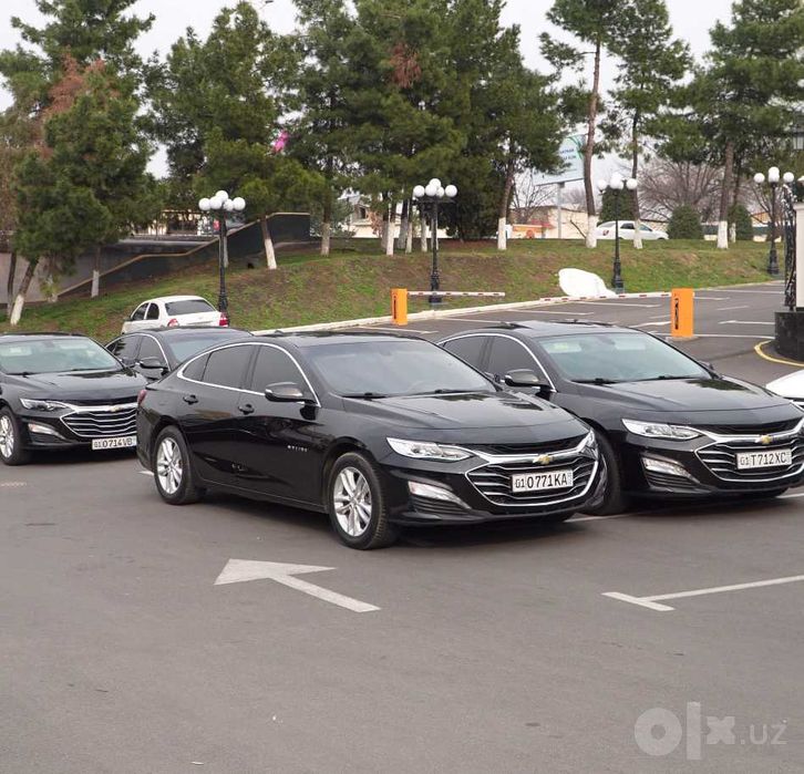 Chevrolet Malibu 2 haydovchi bilan | Biznes transfer | Safarlar