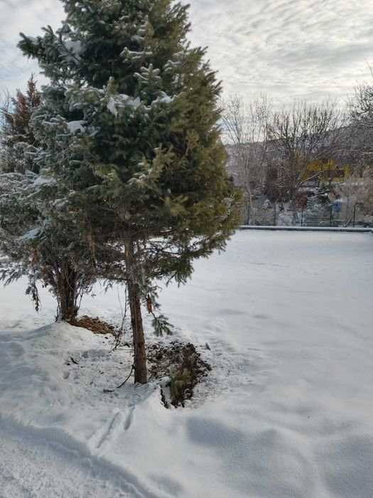 Продается участок мкр. Нуралатау,Алматы