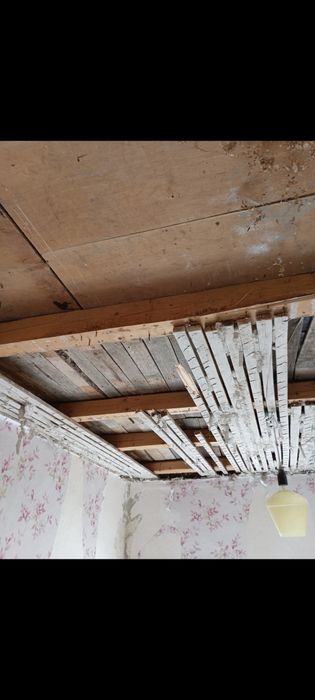 Транспорт и Хамалски усуги