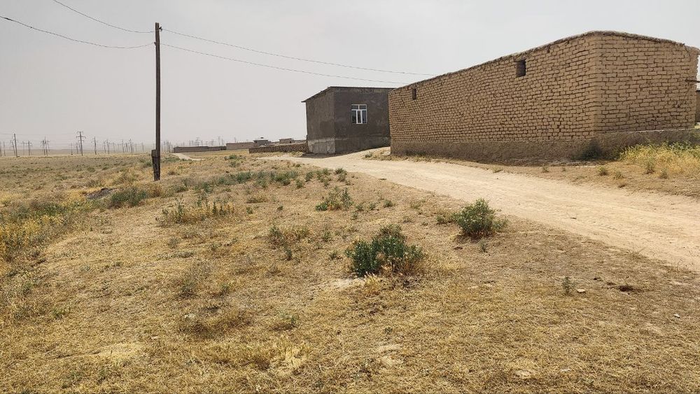 Yangioboddan 48 so'tix bo'sh yer maydoni sotiladi