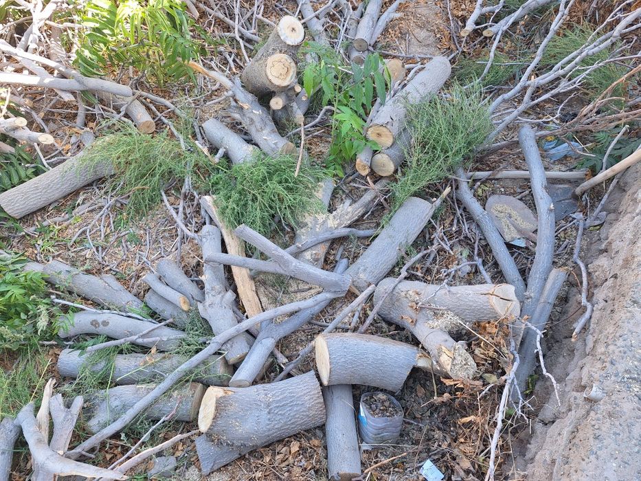 Отынлар сатылады