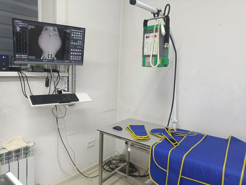 Ветеринарные услуги г.Каскелен