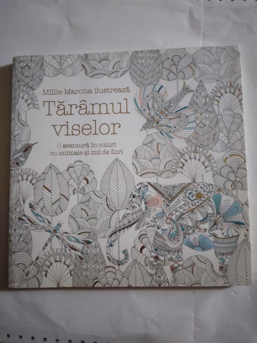 Carti  de colorat pentru adulti- Taramul viselor si Gradina Secreta