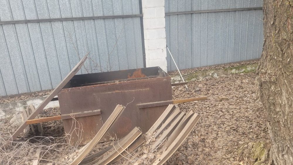 Коктальница большая .