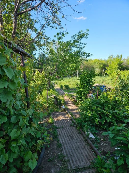 Продается дача в Мелиоратор 7,3 сот.