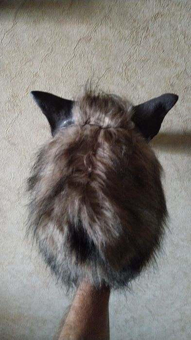 Маски доя розыгрышей Новые