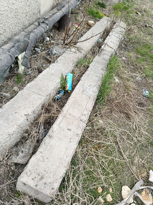 Продам два бетонных пасынка