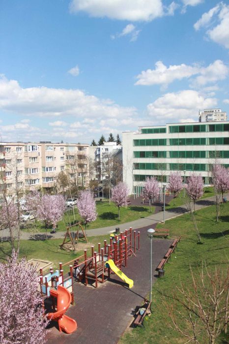 Proprietar . Vand Apartament 2 camere REnovat/Mobilat  Mănăștur