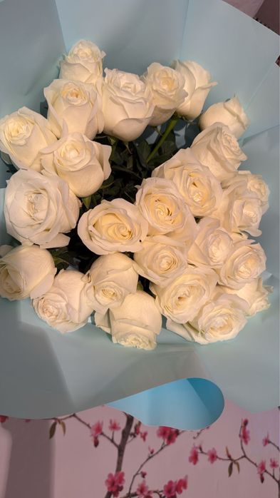 Свежие белые розы 25шт