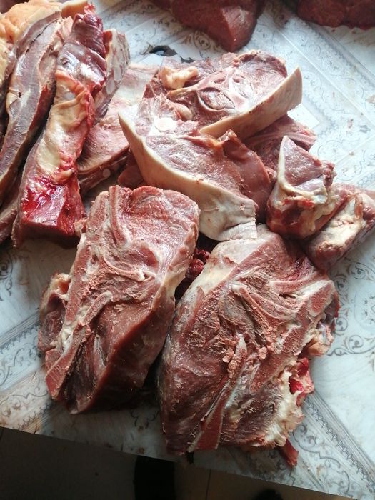 Мясо говядина молодняк