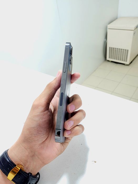 iPhone 13 Pro Max 256Gb