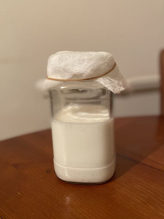 Продавам кефирена гъба