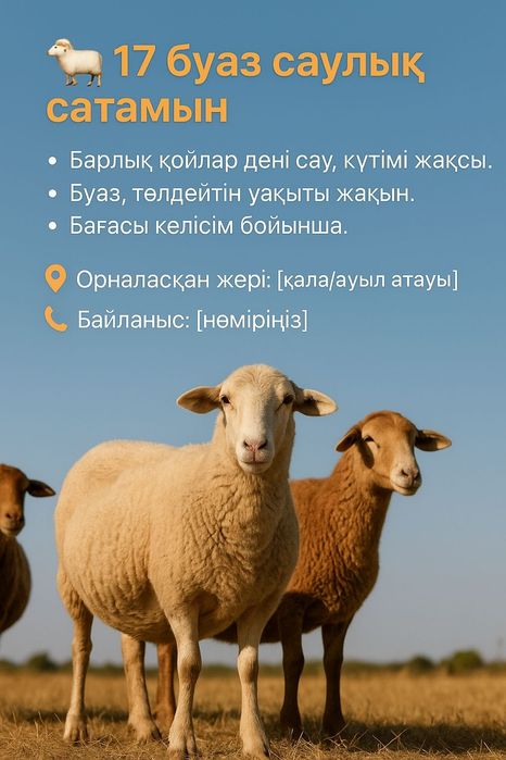 Қойлар сатамын,  дені сау, күтімі жақсы, Буаз