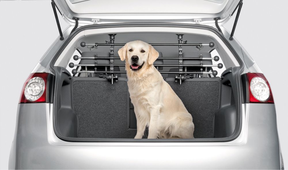 Aparatoare pentru caine sau bagaje