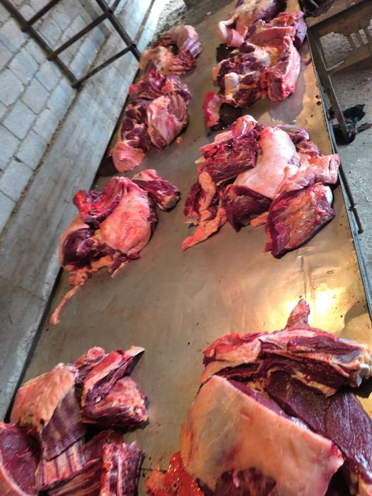 Екі жақты анальді ену фотосы