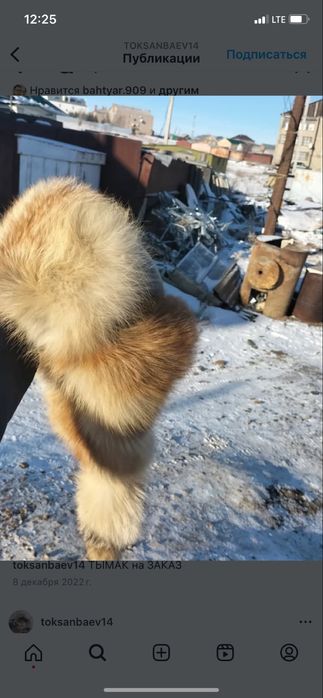 Тымак с лисицы