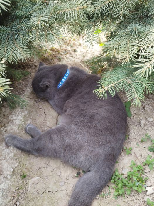 Vyazkaga qoshishga sotilmidi ‼️klient bolasidan beradi