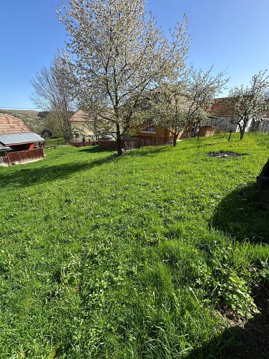 Vand casa in Cacova Ierii