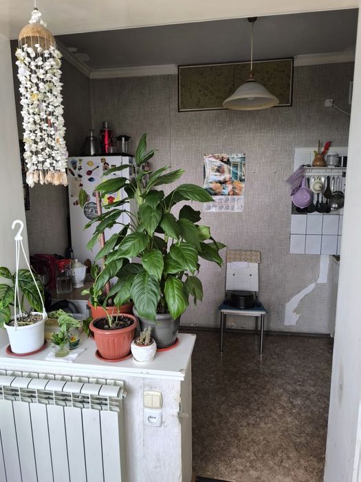 ТТЗ корзинка первая линия,улучшенная планировка