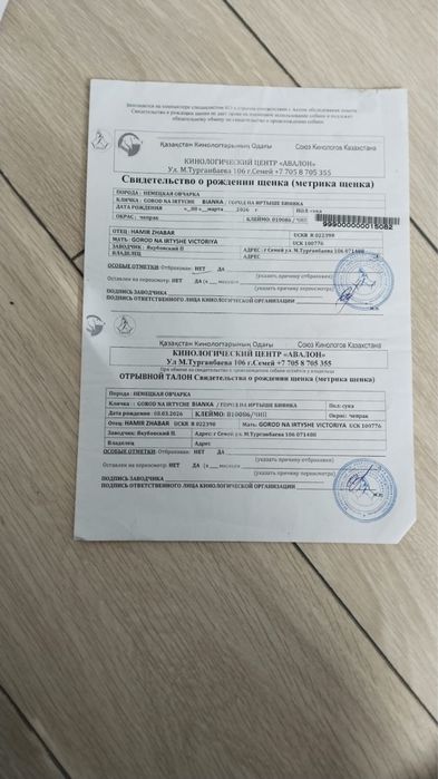 Продам немецкую овчарку