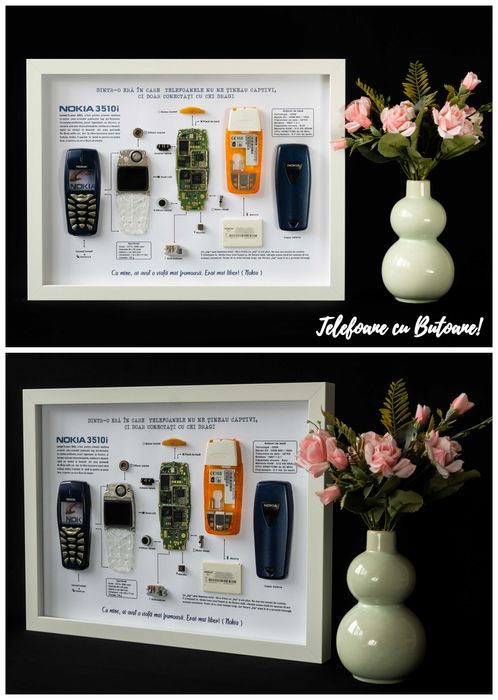 Tablou Nokia 3510i - inramez si Nokia 6310i Nokia 6700 Nokia 8800
