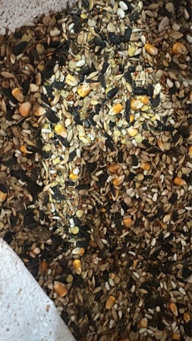 Зерносмесь в продаже оптом и розницу