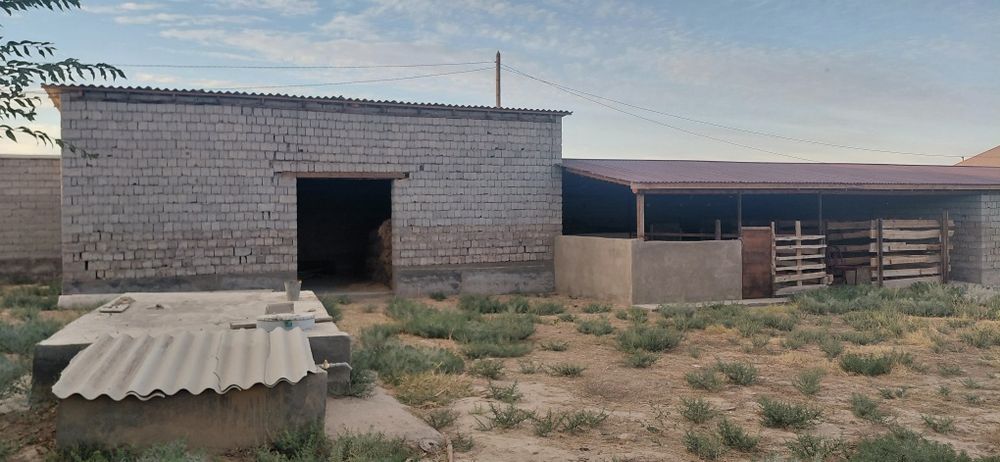 Үй сатылады Дарбаза ауылы