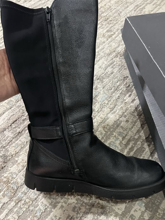 Продам сапоги фирмы Экко