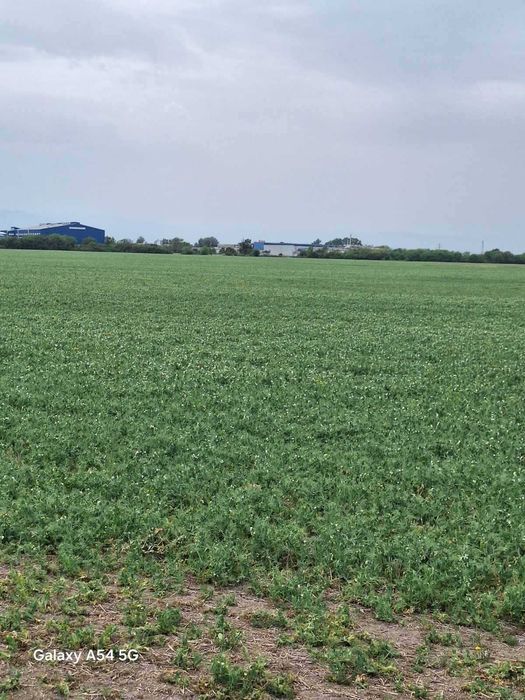 Продава се Парцел в Пловдив, Индустриална зона - Север - 7962 кв.м за 19 €/кв.м - Снимка #12