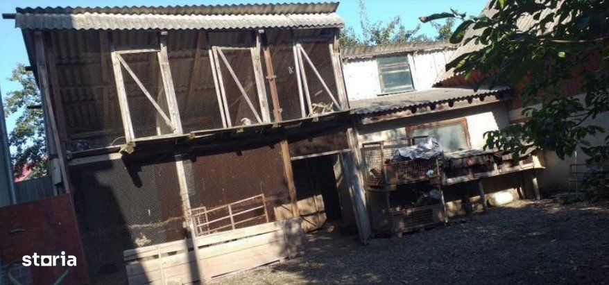 VADU Moldovei Suceava- Locuinta, Anexe, Magazin, Depozit si Teren