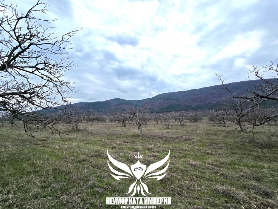 Продава се Парцел в Асеновград - 4132 кв.м за 16 €/кв.м - Снимка #4