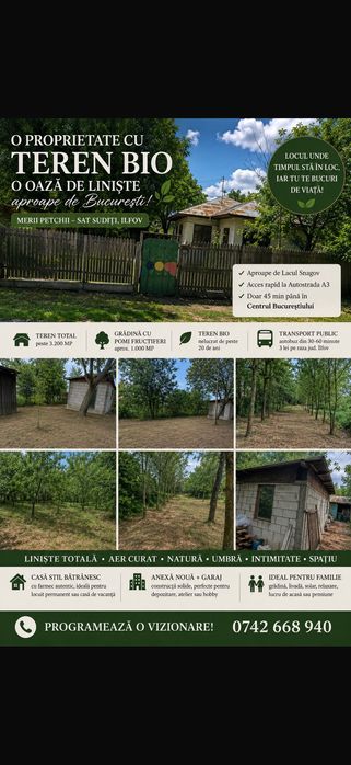 O proprietate cu teren BIO! O OAZA DE LINISTE SI AER CURAT!!