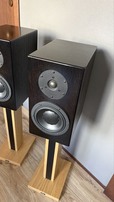 Exproject D2.1ex - Swans D2.1