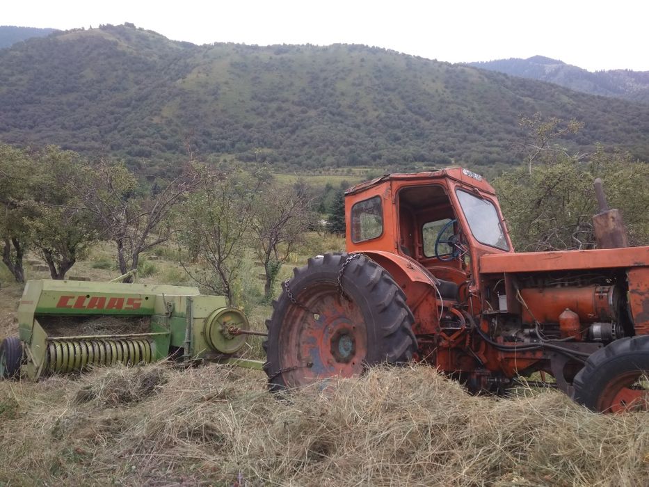 Продам сено в тюках.