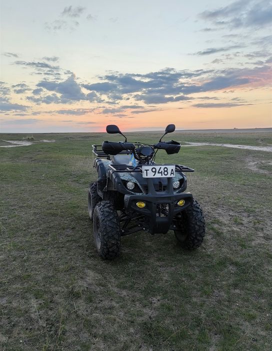 Avenger tungus 250 квадроцикл