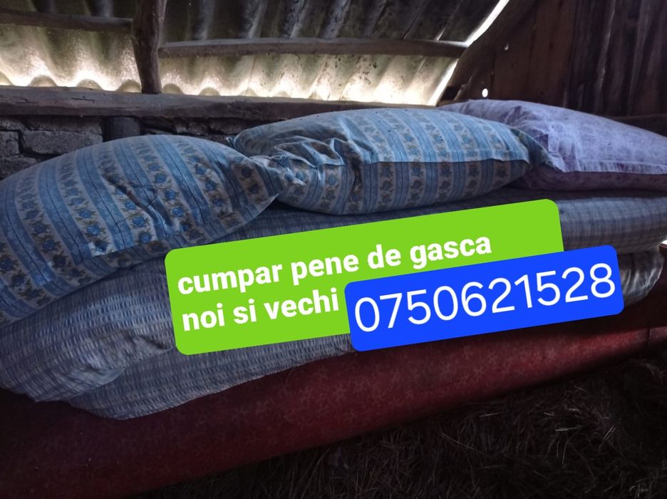 Achizitie de pene vechi si noi