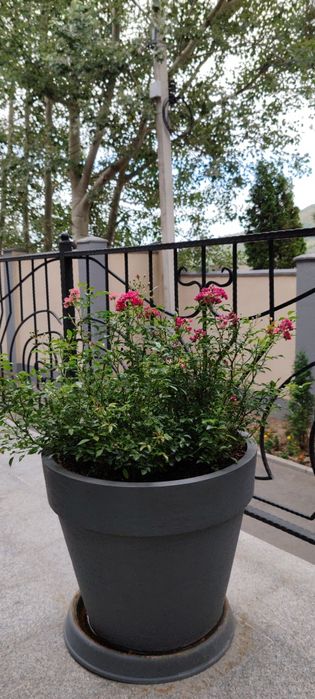 Услуги Садовника