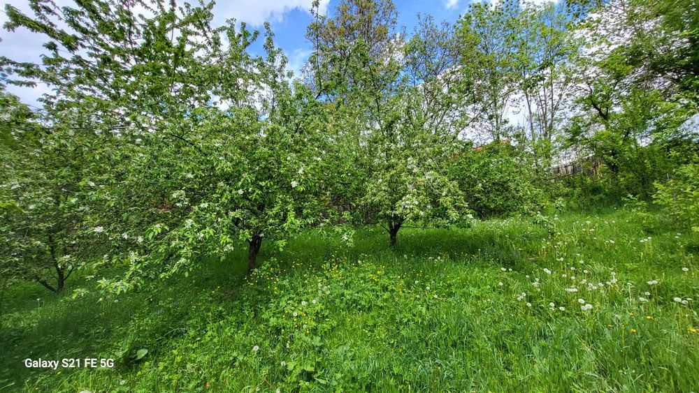 Teren intravilan cu suprafata de 2344 m2 pe strada Secariei nr.173 Comarnic judetul Prahova