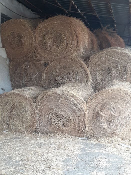 Продам сено люцерна